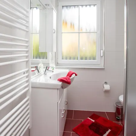 Waschbär Im Müritz Seepark Marienfelde