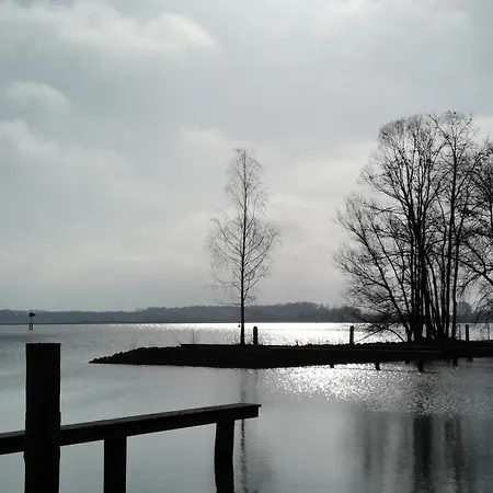 Waschbär Im Müritz Seepark Apartment